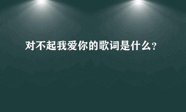 对不起我爱你的歌词是什么？