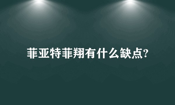 菲亚特菲翔有什么缺点?