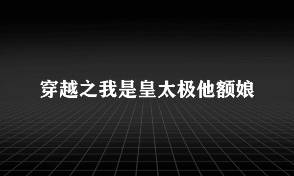 穿越之我是皇太极他额娘