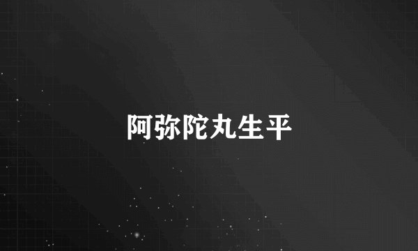 阿弥陀丸生平