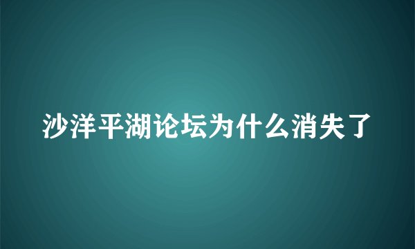 沙洋平湖论坛为什么消失了