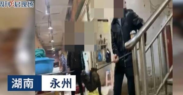 湖南永州市场卖活猫现宰，官方：已介入调查！