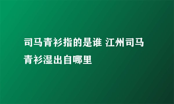 司马青衫指的是谁 江州司马青衫湿出自哪里