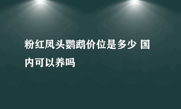 粉红凤头鹦鹉价位是多少 国内可以养吗