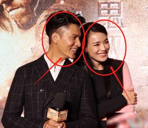 陈坤连着7年为舒淇庆生，夸赞她真实率性，他们之间的关系为何这么好？
