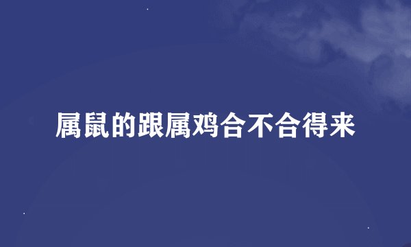 属鼠的跟属鸡合不合得来