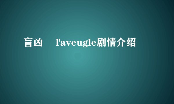盲凶  l'aveugle剧情介绍
