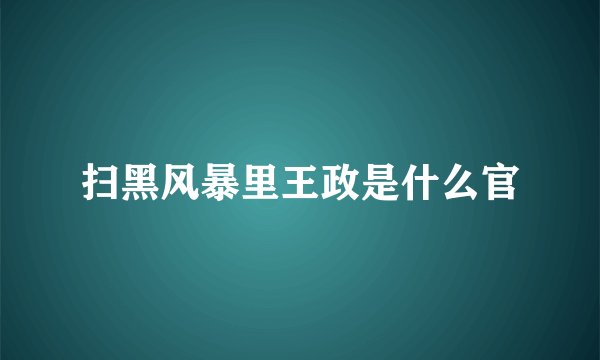 扫黑风暴里王政是什么官