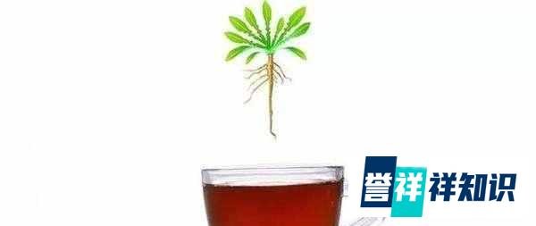 “万能神药