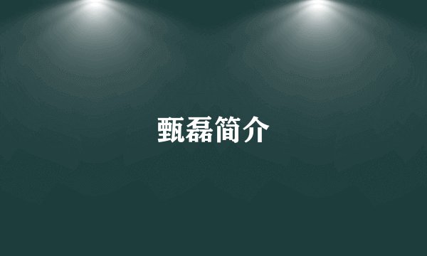 甄磊简介