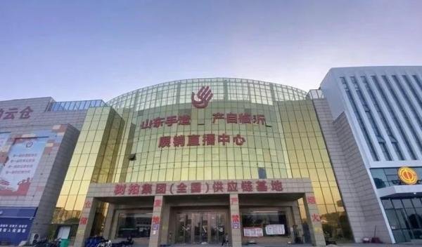 山东警方通报:“树拍”涉嫌集资诈骗,坐实了!“树拍” 爆雷始末