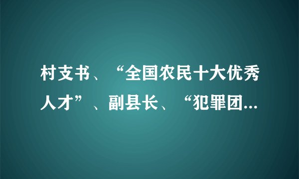 村支书、“全国农民十大优秀人才”、副县长、“犯罪团伙头目”宋世敏的基本情况