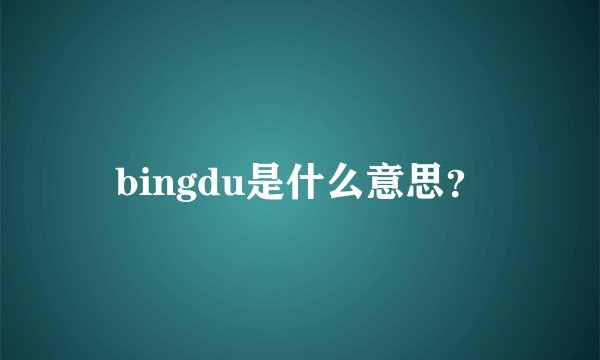bingdu是什么意思？