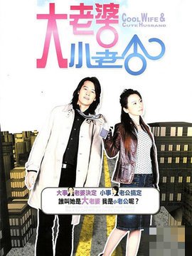 大老婆小老公最后结局