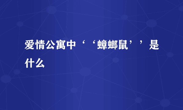 爱情公寓中‘‘蟑螂鼠’’是什么