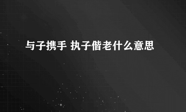 与子携手 执子偕老什么意思