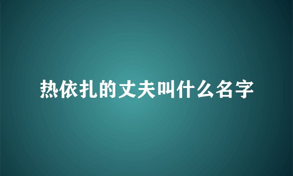 热依扎的丈夫叫什么名字