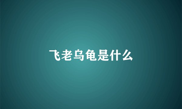 飞老乌龟是什么
