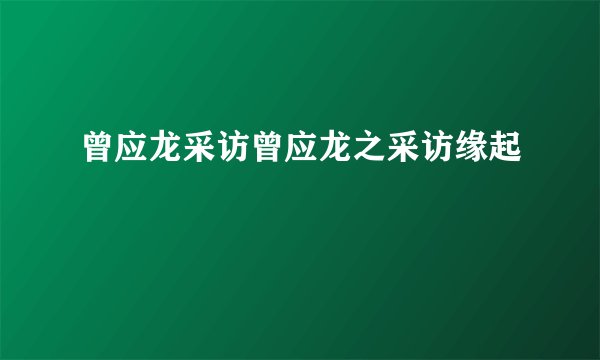曾应龙采访曾应龙之采访缘起