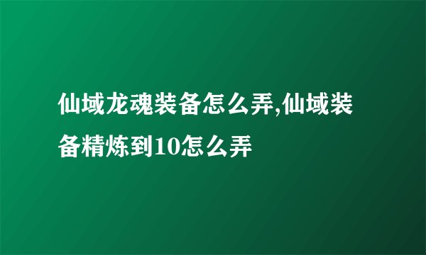 仙域龙魂装备怎么弄,仙域装备精炼到10怎么弄