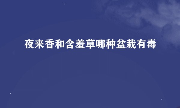 夜来香和含羞草哪种盆栽有毒