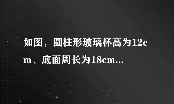 如图，圆柱形玻璃杯高为12cm、底面周长为18cm，在杯内离杯底4cm的点C处有一滴蜂蜜，此时一只蚂蚁正好在杯