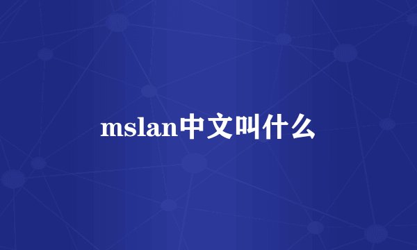mslan中文叫什么