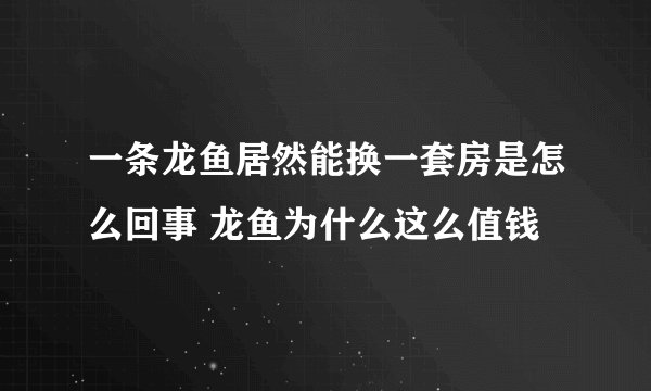 一条龙鱼居然能换一套房是怎么回事 龙鱼为什么这么值钱
