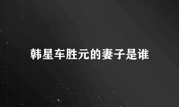 韩星车胜元的妻子是谁