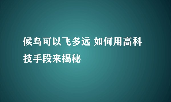 候鸟可以飞多远 如何用高科技手段来揭秘