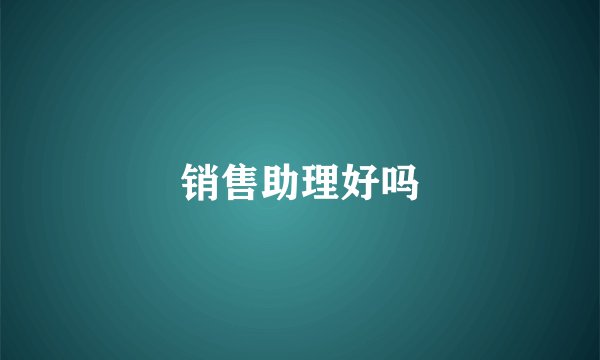 销售助理好吗
