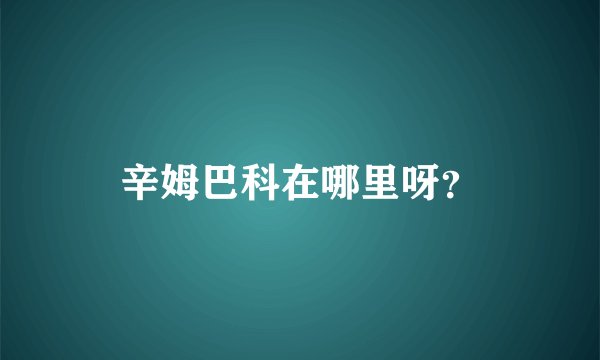 辛姆巴科在哪里呀？
