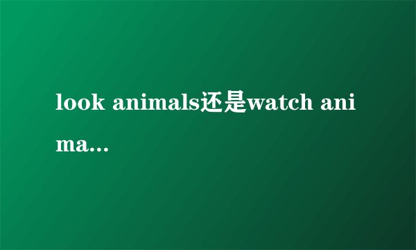 look animals还是watch animals 为什么