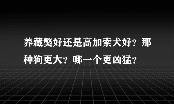 养藏獒好还是高加索犬好?那种狗更大?哪一个更凶猛?