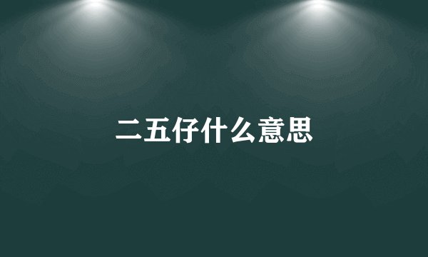 二五仔什么意思