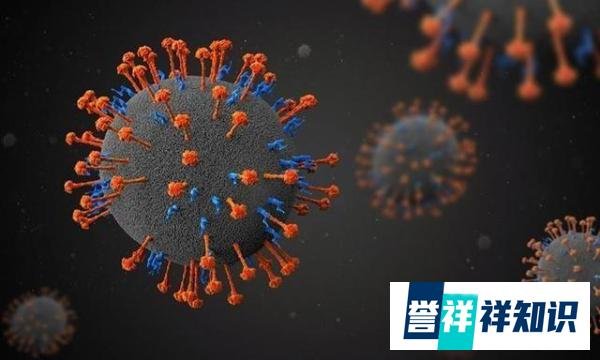 我国发现多例新型尼帕病毒感染者,尼帕病毒致死率高达75%