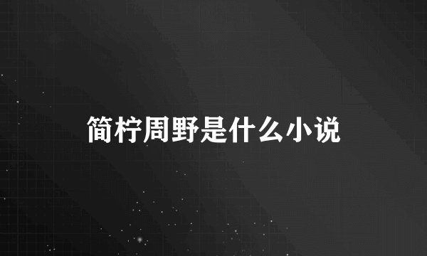 简柠周野是什么小说