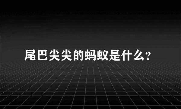 尾巴尖尖的蚂蚁是什么？