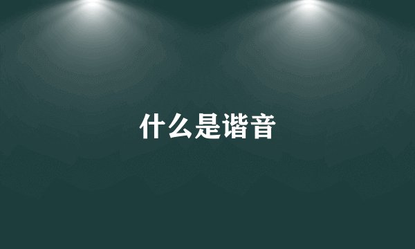 什么是谐音