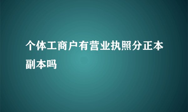个体工商户有营业执照分正本副本吗