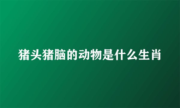 猪头猪脑的动物是什么生肖