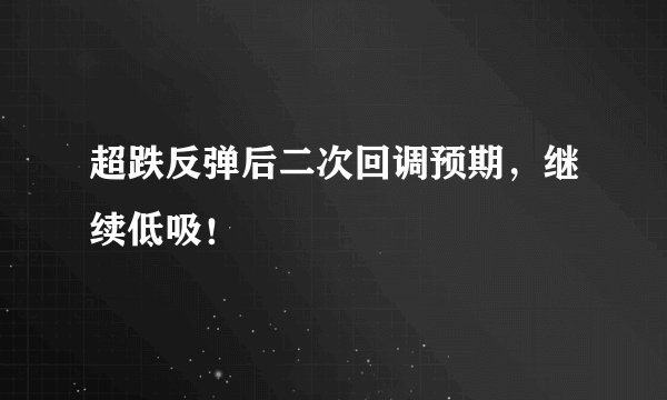 超跌反弹后二次回调预期，继续低吸！