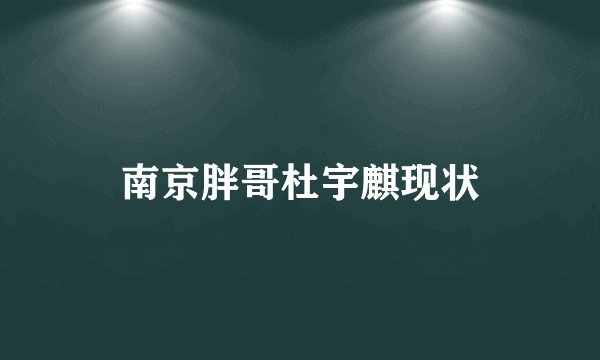 南京胖哥杜宇麒现状