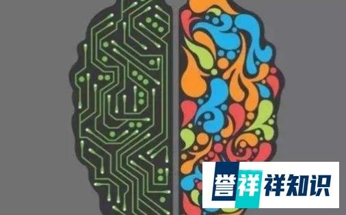 大脑优势评估测试21题 | 测测你是感性脑还是理性脑 | 全脑优势测试