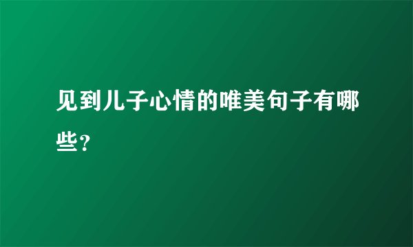 见到儿子心情的唯美句子有哪些？