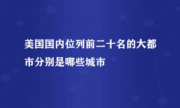 美国国内位列前二十名的大都市分别是哪些城市