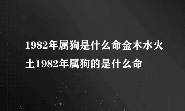 1982年属狗是什么命金木水火土1982年属狗的是什么命