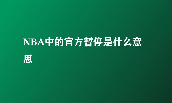 NBA中的官方暂停是什么意思