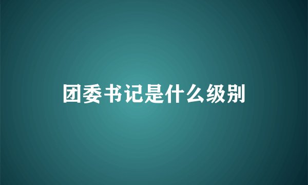 团委书记是什么级别