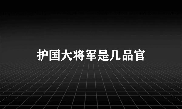 护国大将军是几品官